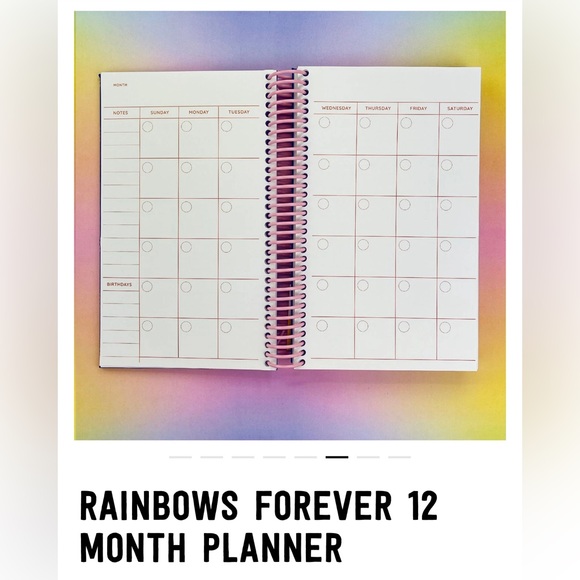Pipsticks 12 Month Rainbow Planner 🌈 undated monthly planner ⚡️ - Picture 9 of 11